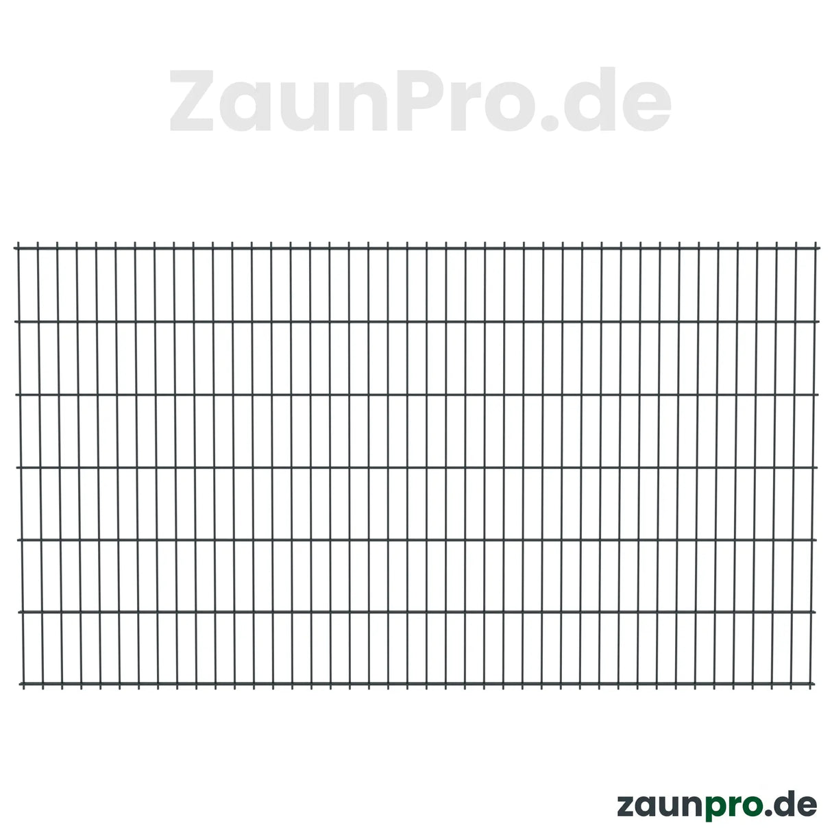 Doppelstabmatte 8/6/8 Anthrazit RAL 7016 – Frontalansicht Zaunfeld 2500 mm, Maschenweite 50×200 mm, feuerverzinkt