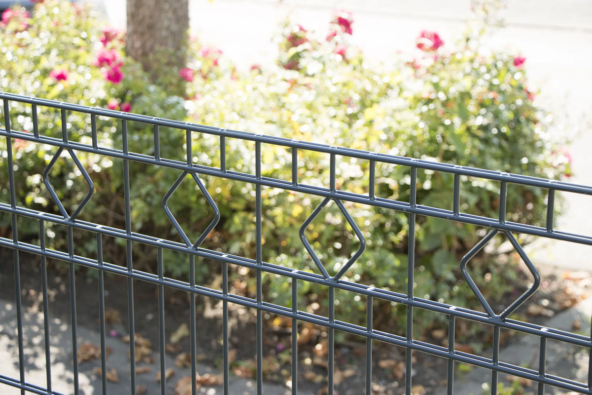 Schmuckzaun Barcelona in Anthrazit vor einem Rosenbeet