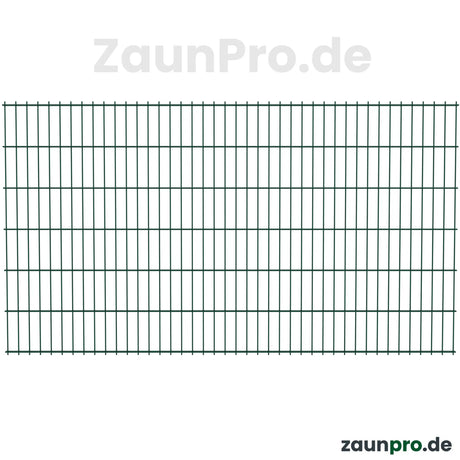 Doppelstabmatte 6/5/6 in Moosgruen RAL 6005, Frontalansicht