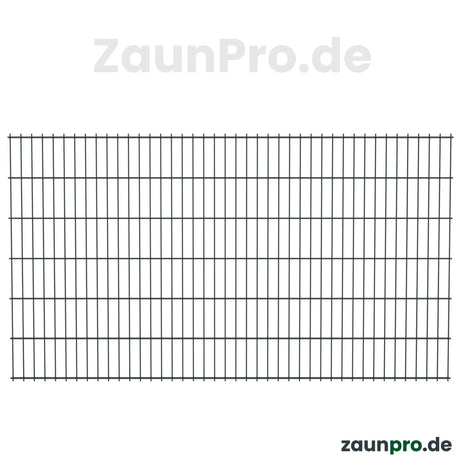 Doppelstabmatte 8/6/8 Anthrazit RAL 7016 – Frontalansicht Zaunfeld 2500 mm, Maschenweite 50×200 mm, feuerverzinkt