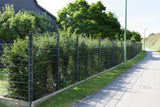 Metallzaun 6/5/6 in Anthrazit entlang eines Gehwegs neben einer Hecke