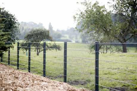 Doppelstabmattenzaun 8/6/8 als Grundstücksbegrenzung über die volle Zaunlänge
