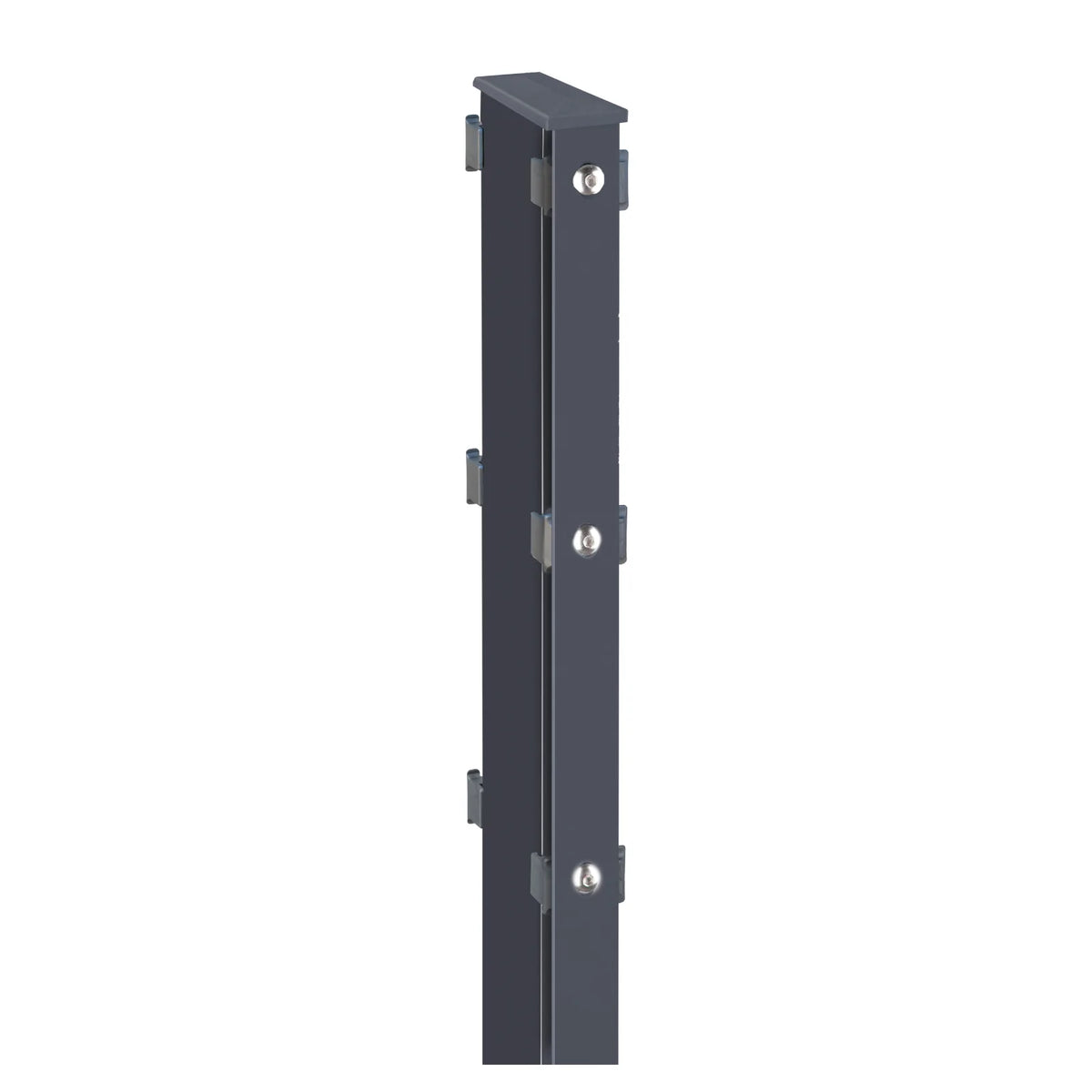 Gabionenpfosten 120x40 mm in Anthrazitgrau RAL 7016 mit beidseitigen Abdeckleisten und Kappe, freigestellt