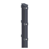 Gabionenpfosten 120x40 mm in Anthrazitgrau RAL 7016 mit beidseitigen Abdeckleisten und Kappe, freigestellt